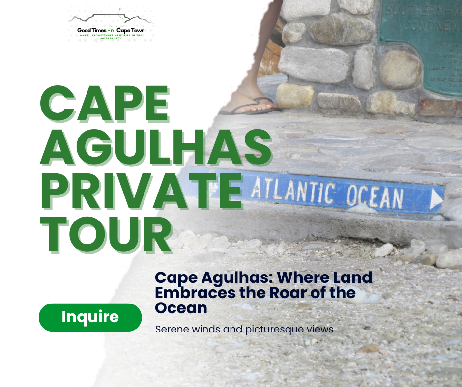 πΏπ¦ Cape Agulhas Private Tour