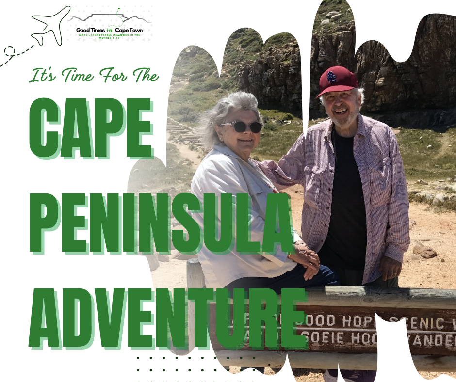 🧭 Cape Peninsula Private Tour